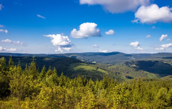 Thüringer Wald