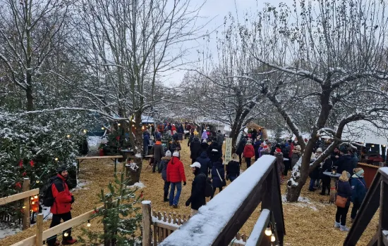 Lehde, Weihnachtsmarkt
