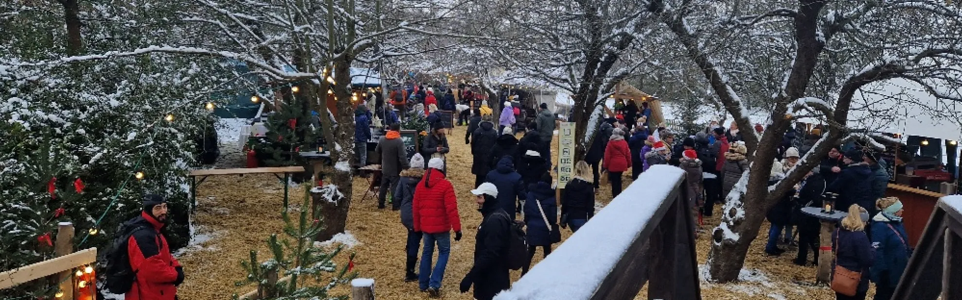 Lehde, Weihnachtsmarkt